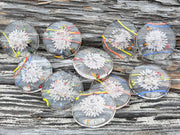 Sharing Stones Multi-Pack